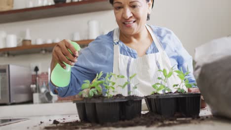 Smiling-senior-biracial-woman-wearing-apron-and-gardening-in-kitchen-alone