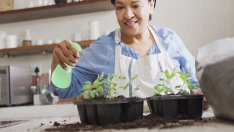 sonriente mujer biracial mayor con delantal y jardinería en la cocina sola