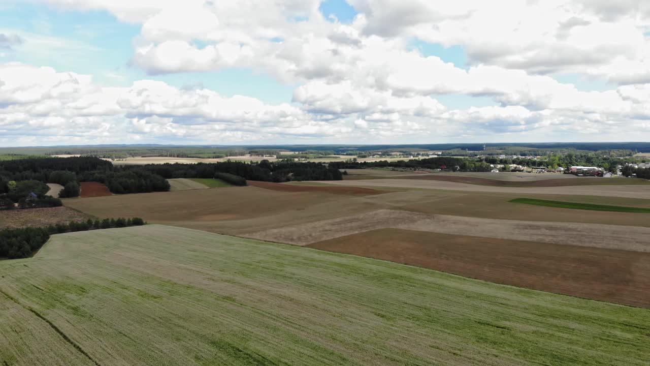 Buckwheat field seen from high-altitude drone flying forward above the crop fields