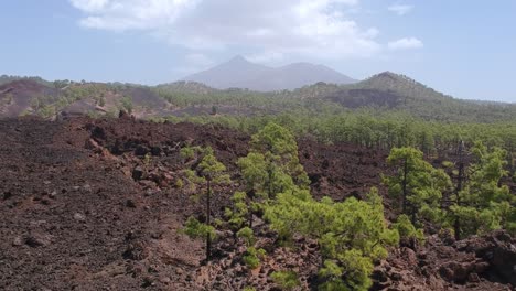 Majestuoso-Paisaje-Volcánico-Y-Volcán-Teide-A-Lo-Lejos,-Vista-Aérea-Ascendente