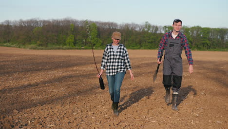 farmers planting trees in a field