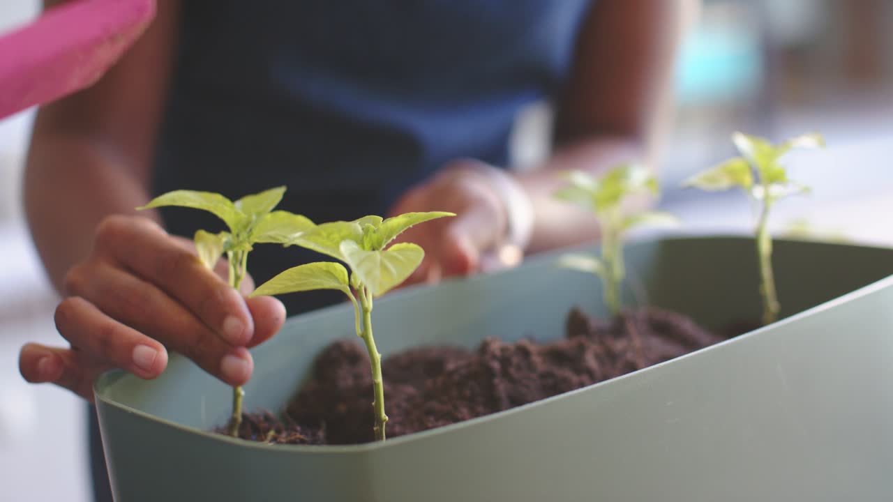 Casal afro-americano recolhendo terra com uma pá de jardinagem rosa, transplantando mudas para uma jardineira