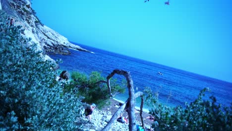 sea in france with rocks between trees and nature stone beach