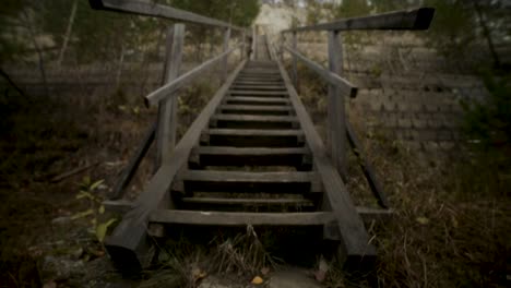 wooden stairs in a forest