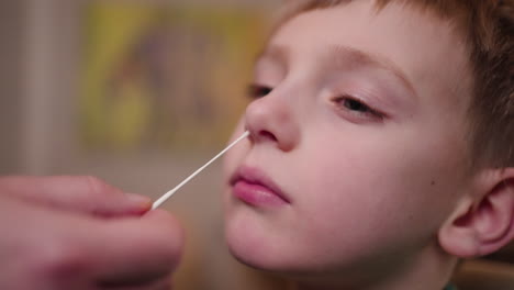 un niño pequeño que recibe un hisopo nasal como parte de una prueba de covid-19 de respuesta rápida en el hogar