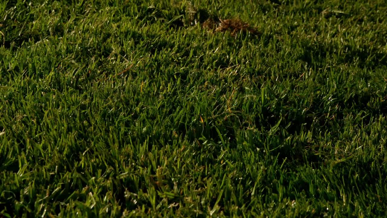 골프 클럽이 코스에서 공을 치고 있습니다.