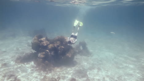 Snorkeler