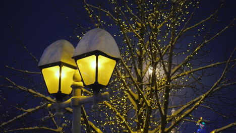 street lights covered with snow beautiful evening in winter