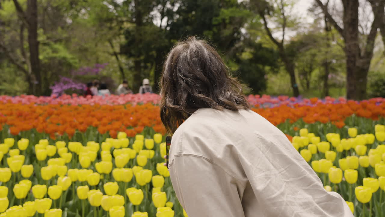 Slow motion shot of a woman taking a photo of the stunning tulips in Kyoto Japan