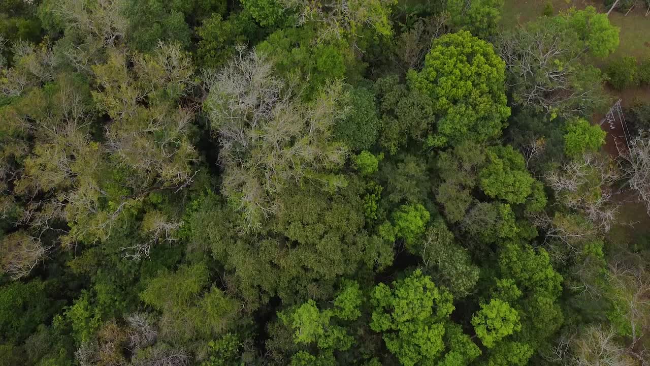 drone disparó argentina santa ana bosque con la carretera al final del mediodía con cielo azul paisaje nublado alrededor de santa ana