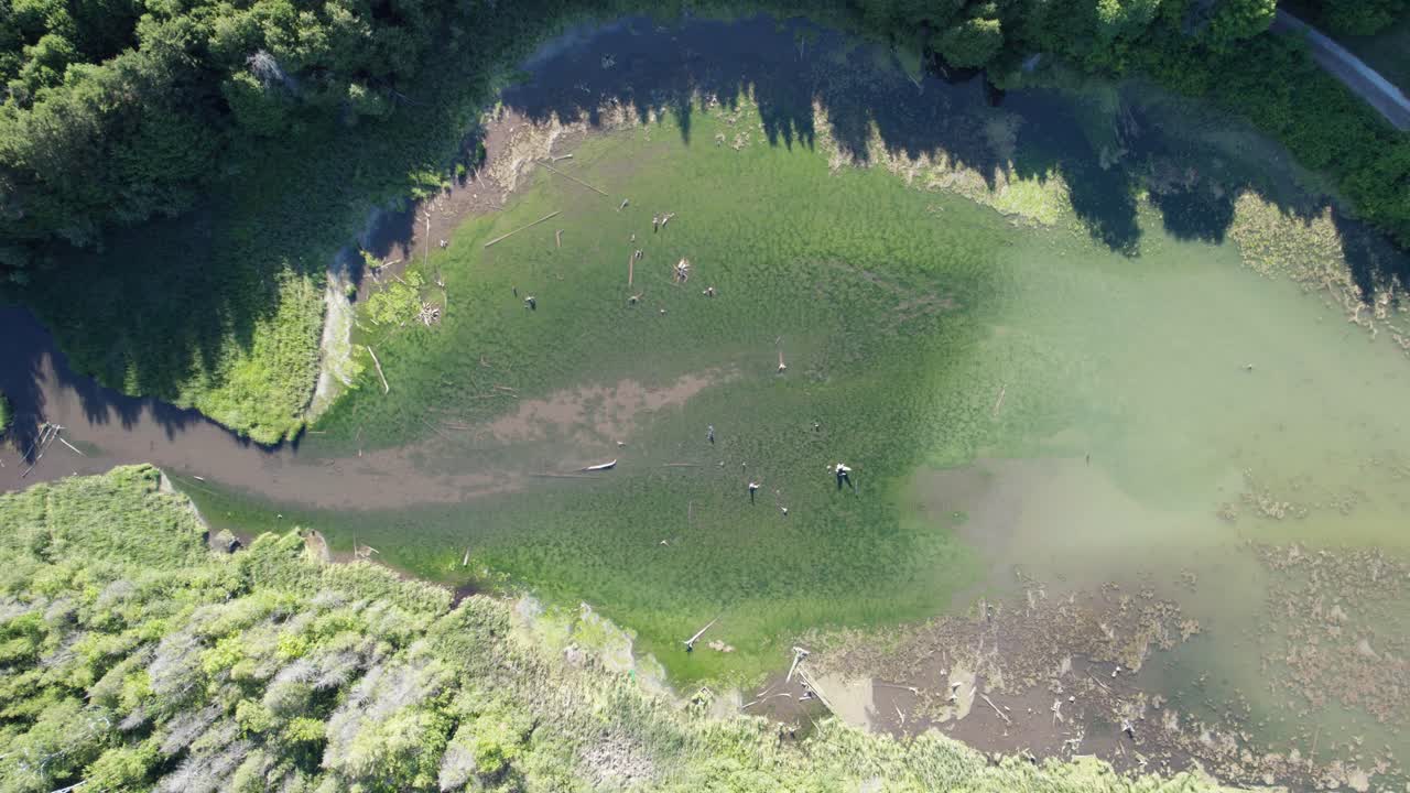 잎 모양의 호수 왼쪽에서 오른쪽으로 무인 항공기 비행 새로운 tecumseth 온타리오 캐나다 농촌