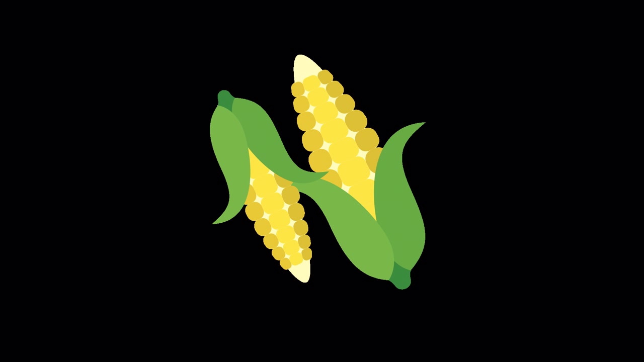 Animated Illustration of Two Fresh Corn Cobs