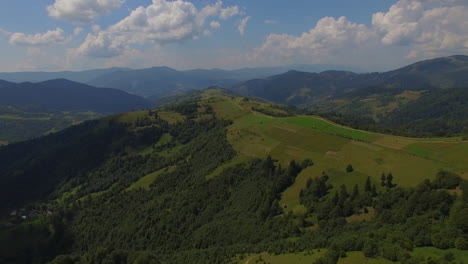 beautiful aerial view through the forest