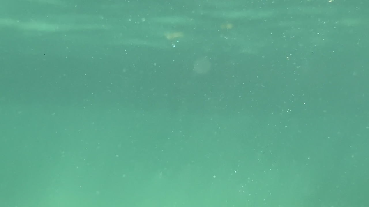 반이는 빛으로 조용한 수중 장면