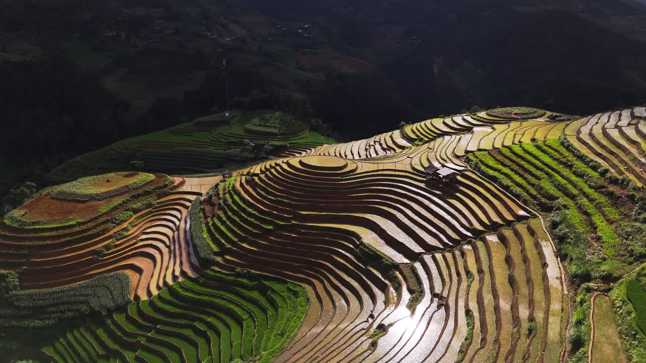 Aerial View of Lush Rice Terraces in a Mountainous Landscape