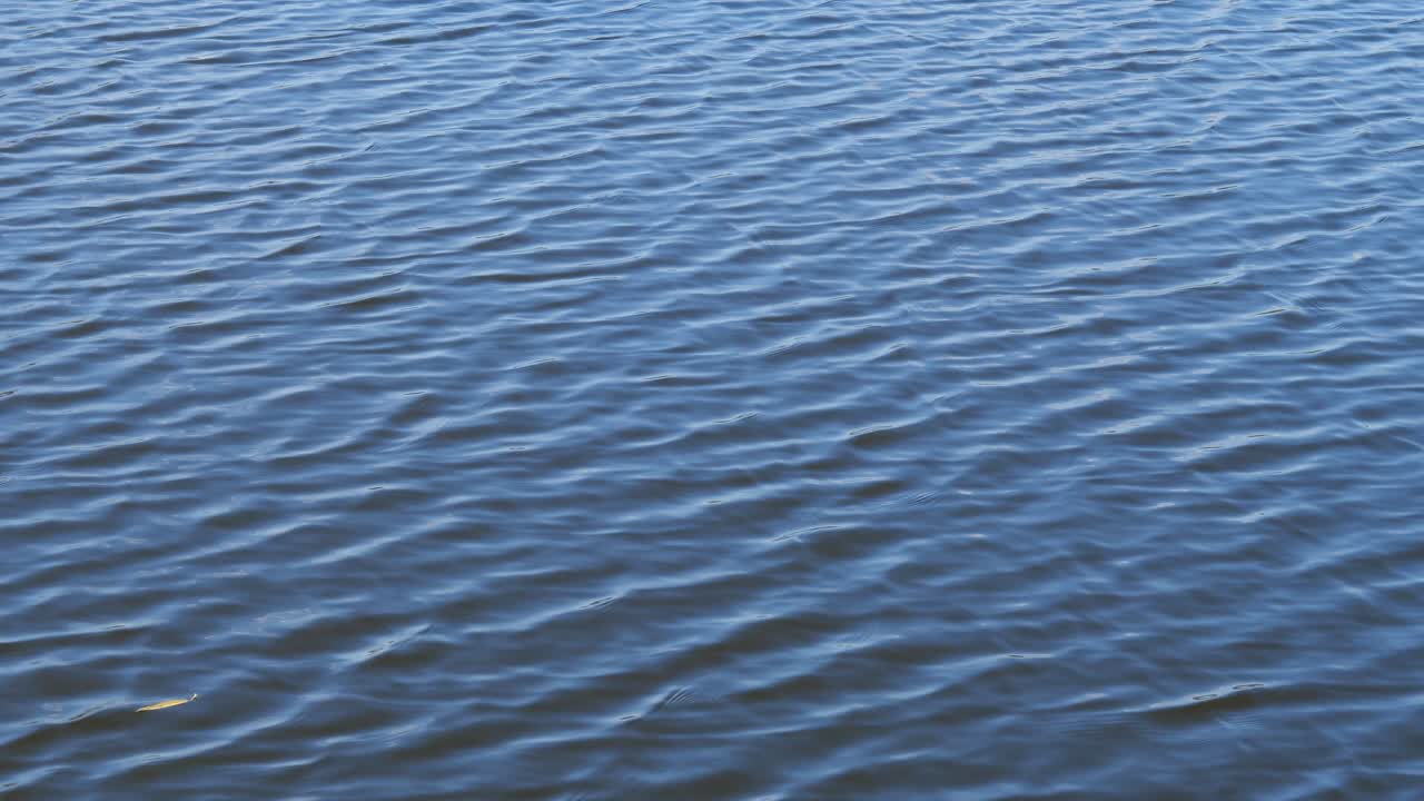 Superficie del agua con pequeñas olas y una hoja solitaria sobre ella