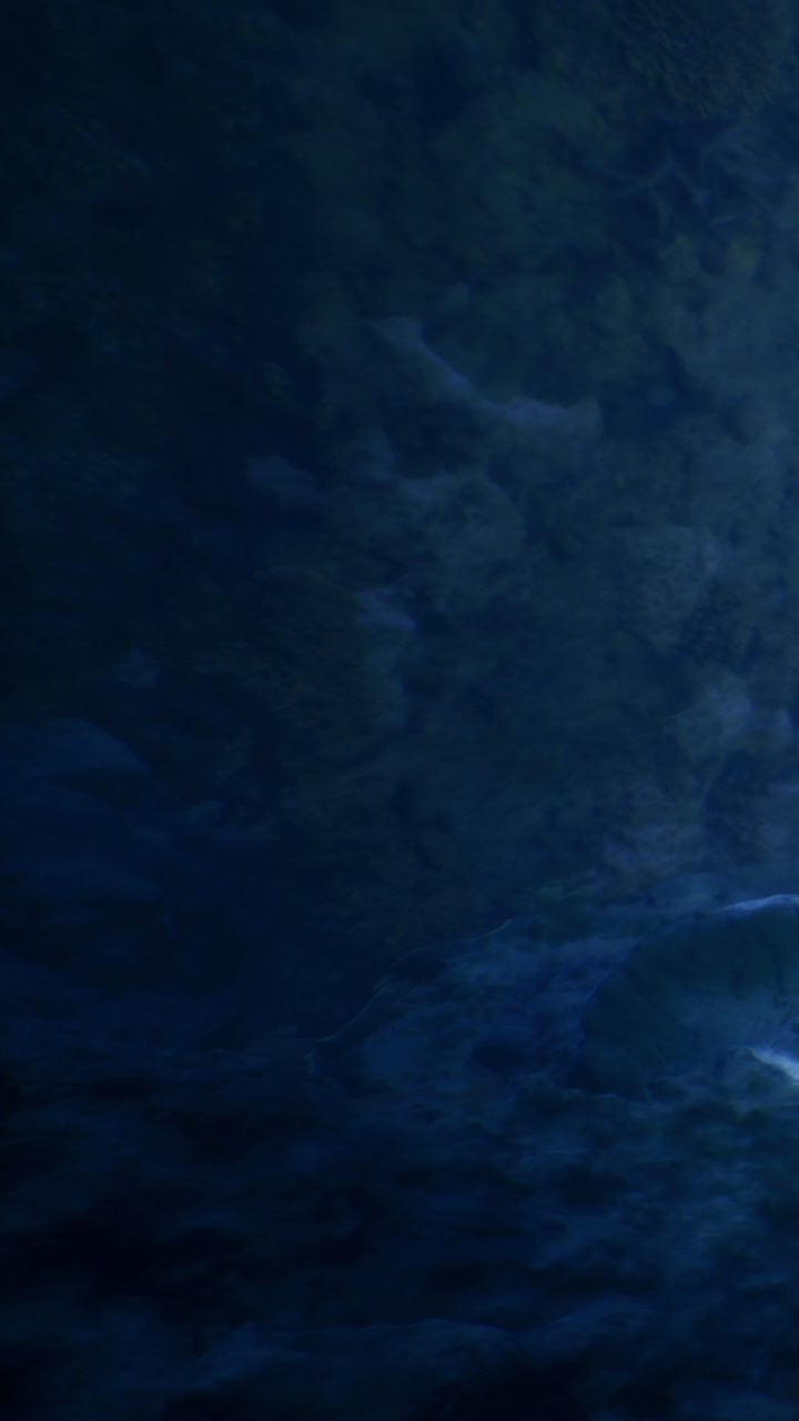 Deep blue ocean waves dance under a twilight sky filled with mystery and calm