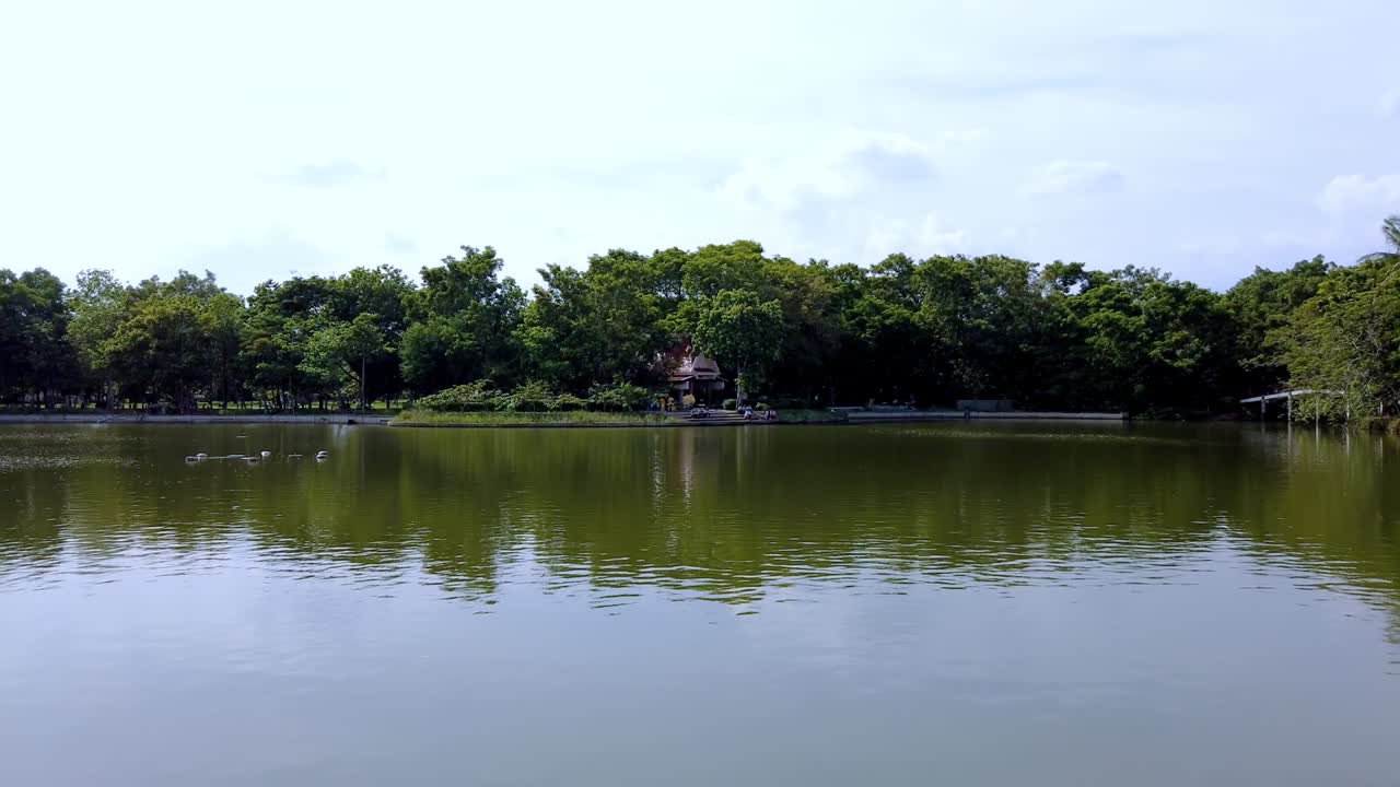pan izquierda timelapse tropical exuberante estanque en un día ventoso, jardín botánico de bangkok