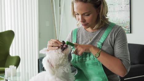 woman cleaning dog mouth teeth with toothbrush