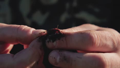 El-Pescador-Fija-La-Lombriz-En-Un-Anzuelo-De-Pesca