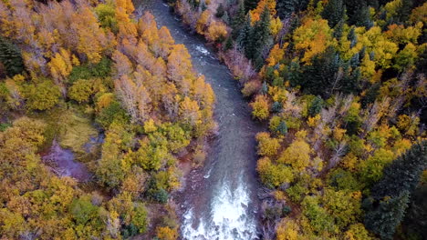 vista aérea, río y bosque colorido en el campo americano en la temporada de otoño