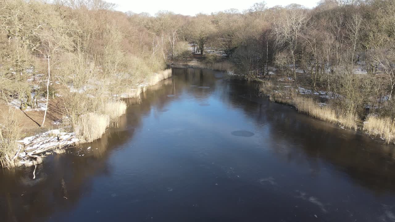 lago congelado en el bosque bajo el sol de la mañana aéreo 4k