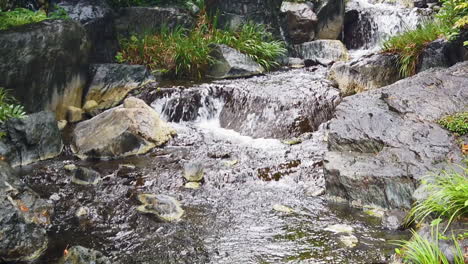 scenic view of flowing stream in smooth rocks