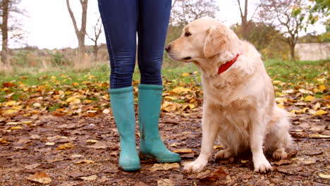 mujer madura en una caminata de otoño con un golden retriever