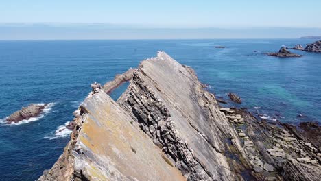 Aerial-Drone-View-of-Stork-Youngsters-at-the-rugged-coastline-of-Carvalhal,-Alentejo,-West-Portugal