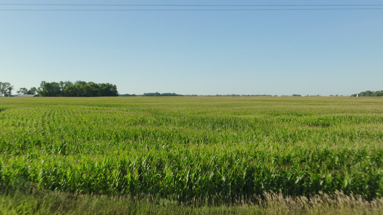 Aerial Daytime View of Corn Field in Rural Countryside
