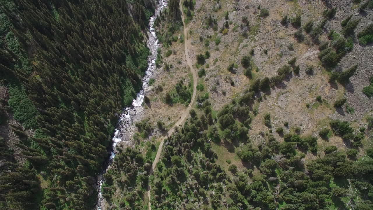 vista aérea de pájaro de bosques, senderos y tierras fluviales de montana