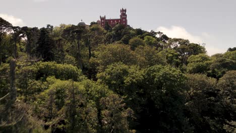 lush forest at natural park and pena palace sintra, lisbon, portugal