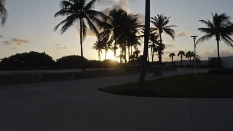 Fliegen-Sie-In-Den-Sonnenuntergang-Mit-Palmen-In-South-Beach-Miami
