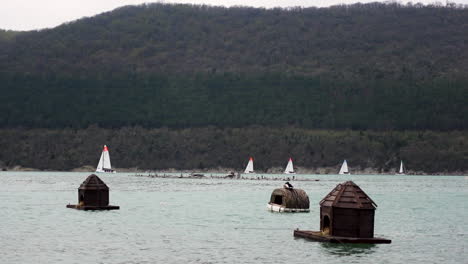 lake scene with floating huts and sailboats