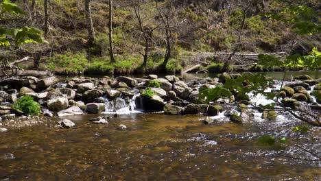 fresh water flowing down the river teign in dartmoor national park