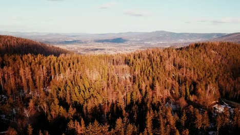 Toma-De-Drones-De-Un-Bosque-De-Montañas-Polacas-Durante-El-Otoño-Durante-La-Puesta-De-Sol