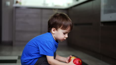 caucasian kid in blue t-shirt picks some apples from the floor. cute boy claps two fruit as approaches to camera. blurred backdrop.