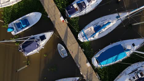 aerial rising over expensive yachts docked inline in olivos port on the side of de la plata river, buenos aires