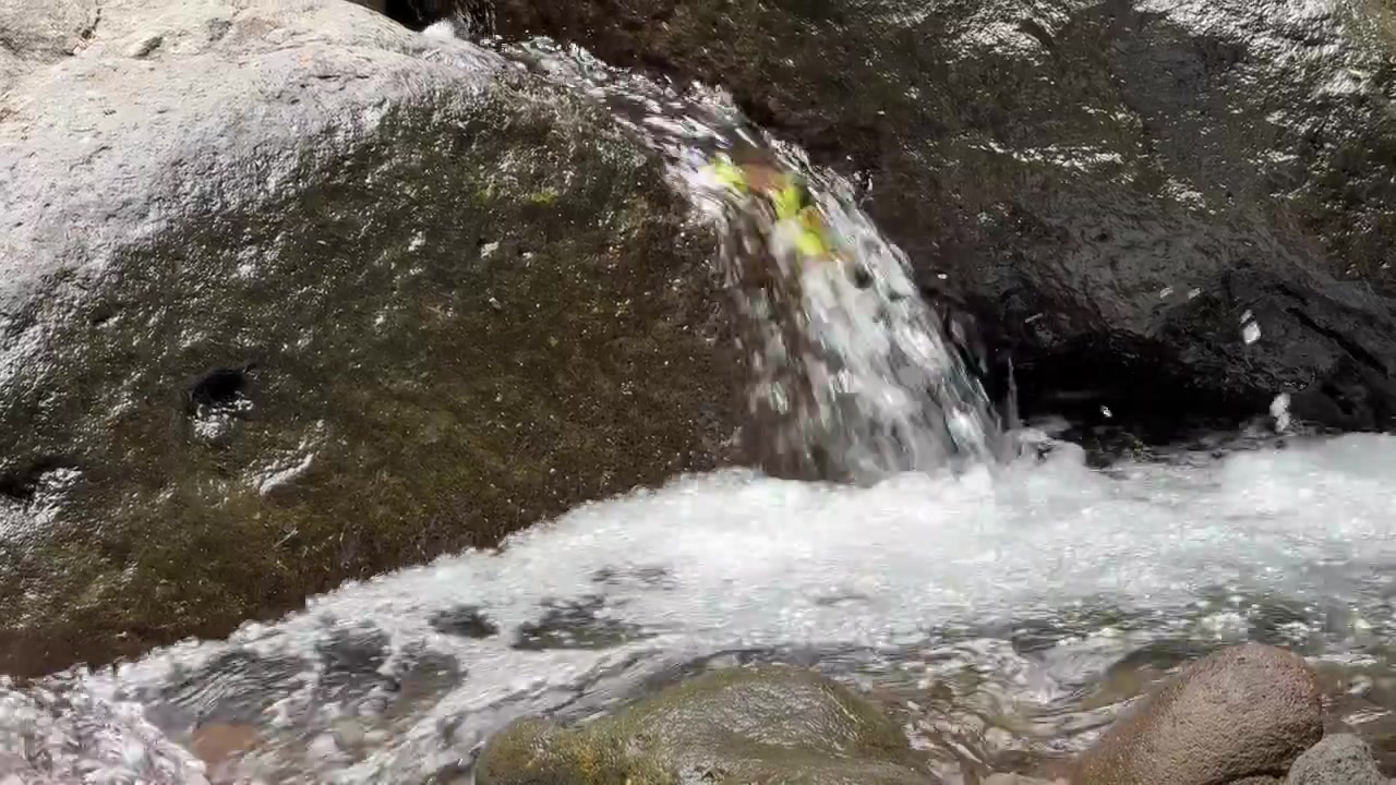 Pequena Cachoeira Fluindo Sobre Rochas Musgosas em um Riacho de Floresta
