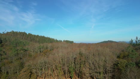 Forest-Mountain-Revealed-Rural-Town-Near-Zas,-A-Coruña,-Spain