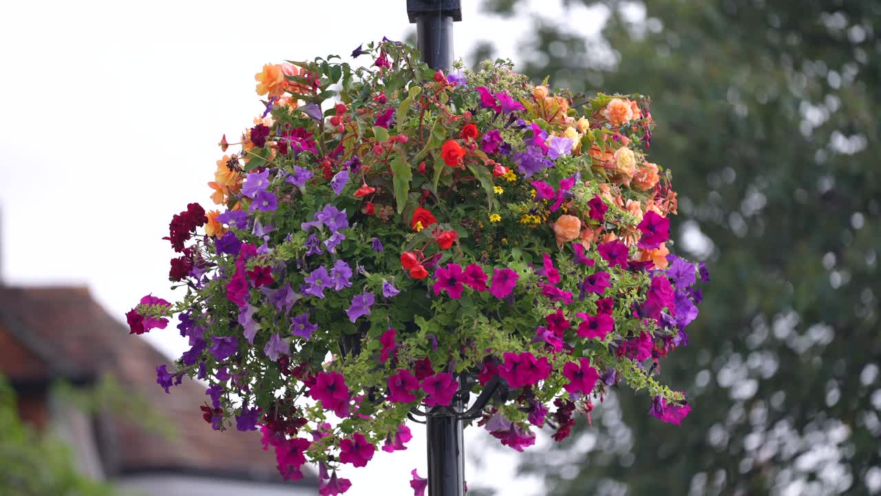 Brightly coloured hanging flower basket on lamp post on a cloudy day