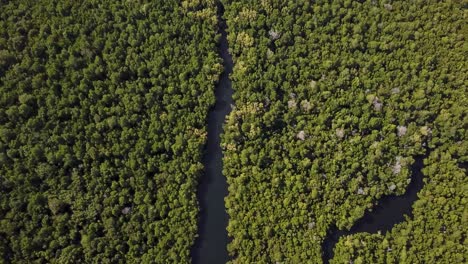 Wunderschöne-Drohnenansicht-Des-Unberührten-Tropischen-Regenwaldes-Und-Flusses-In-Kenia,-Afrika