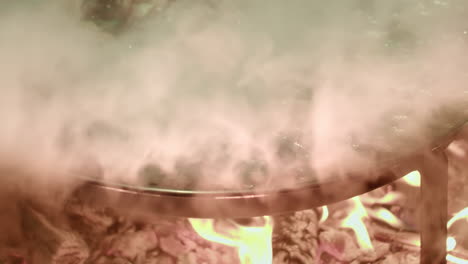 Valencia-Fallas-Festival---Slow-motion-of-Chicken-Paella-Cooking