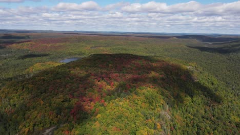 Vista-Aérea-De-Hermosos-Colores-De-Otoño-Sobre-Un-Bosque-Nacional