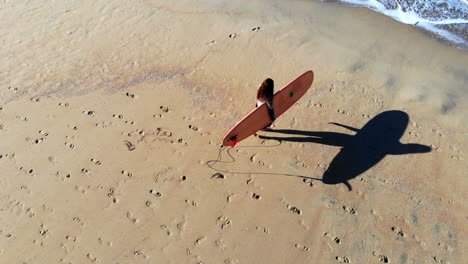 la chica surfista entra al agua con un auge de drones de 4k aéreo fresco hacia abajo - inclínate hacia arriba para revelar olas - muelle de huntington beach, sur de california, océano pacífico al amanecer, mañana