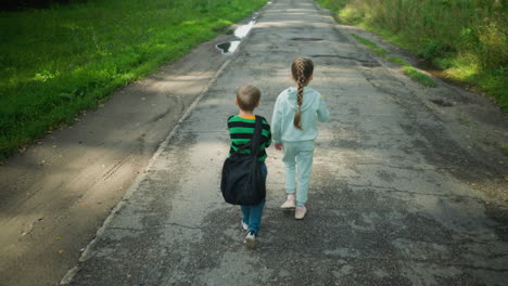 rear view of young girl holding wildflower and showing it to her brother while walking on cracked rural road with grass and puddles under bright daylight, sharing a peaceful outdoor moment together