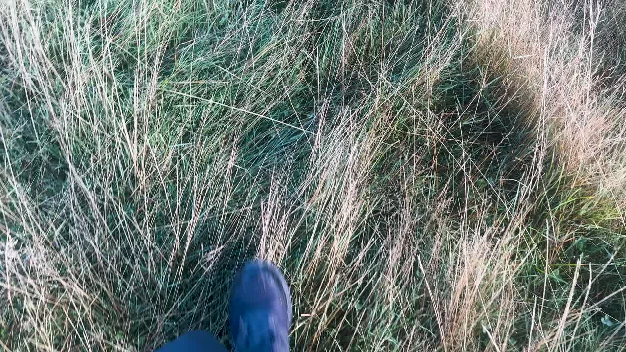 Hiking boots step through sunlit tall grass, handheld camera, natural outdoor setting, soft daylight