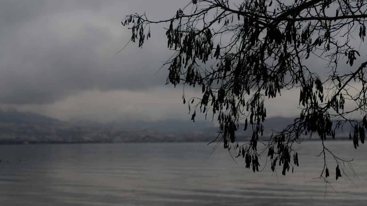 바다와 구름이 가득한 하늘의 나무 가지