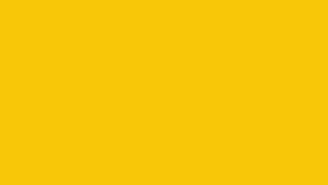 animación del icono del sol con fondo amarillo. diseño del icono. animación de video. animación del dibujo animado aislado del sol brillante