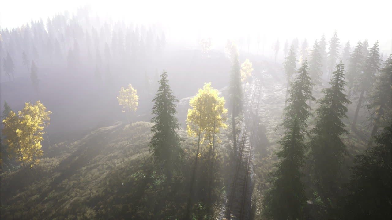 Misty forest landscape with golden trees and sunlight breaking through